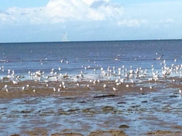 Seaways Cottage Hoylake Εξωτερικό φωτογραφία